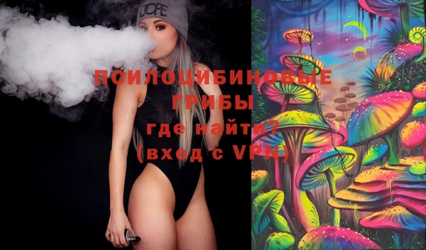 ешки Аркадак