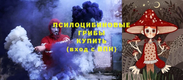 ешки Аркадак