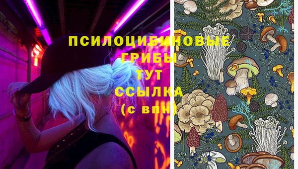 кокс Арсеньев