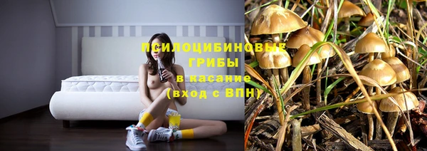 кокс Арсеньев